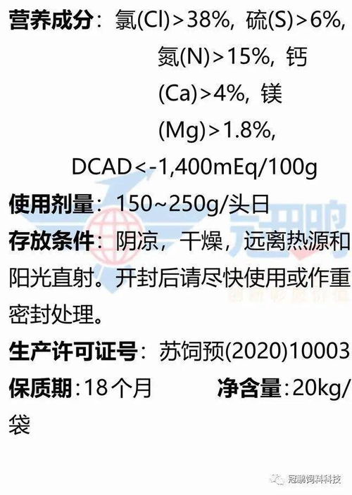 使用盐的盐怎么组词