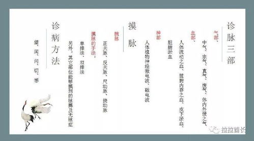 深情脉脉的脉怎么组词