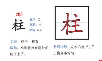 尾怎么拼音怎么组词