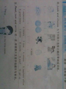 蜕怎么组词组 蜕怎么组词组