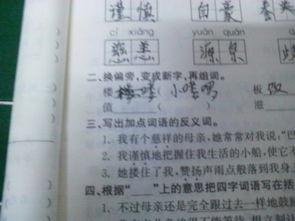 羊字可以怎么换偏旁组词