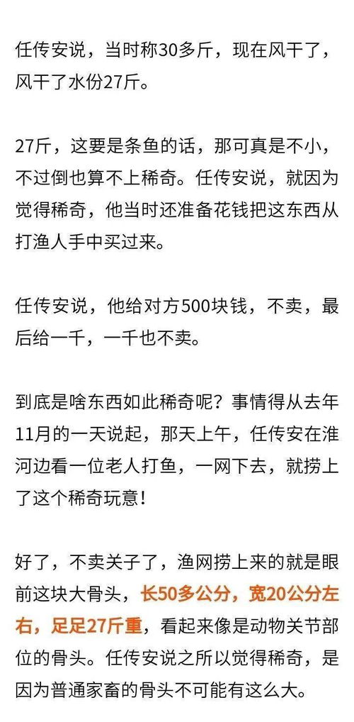 大骨头怎么组词呀