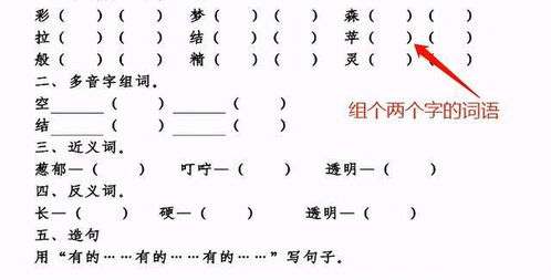 子子字怎么组词