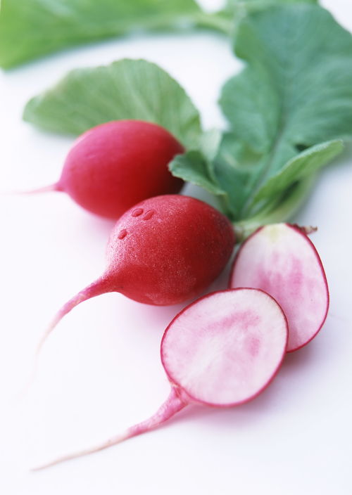 南瓜和萝卜组词怎么组