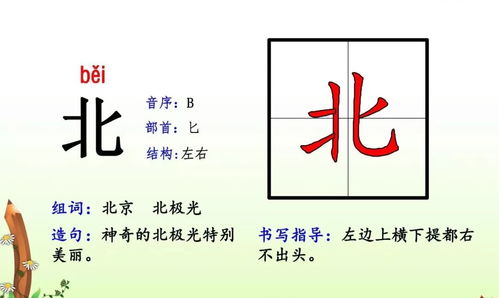 井怎么加偏旁组词