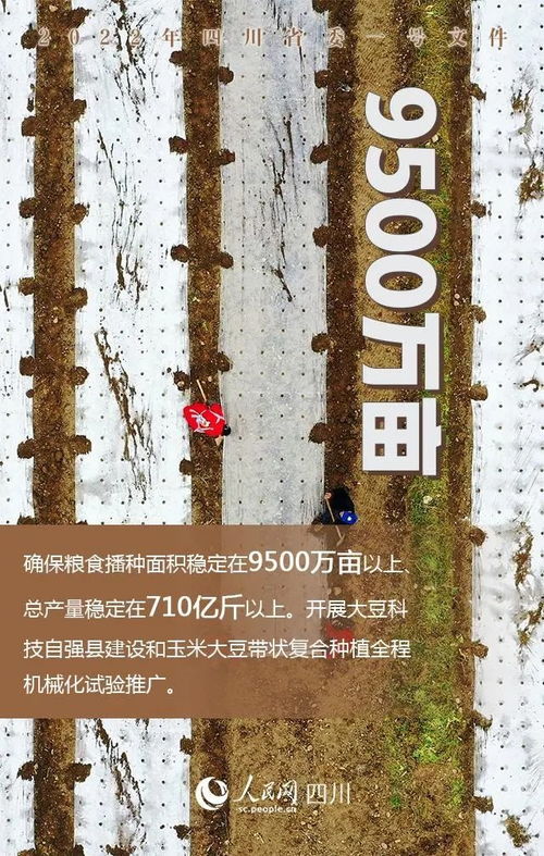 乡村组词怎么组的 乡村组词怎么组的