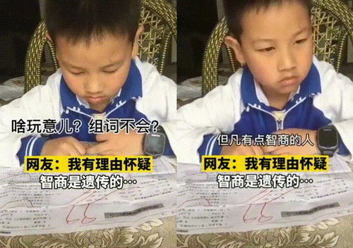 她他们的她她怎么组词