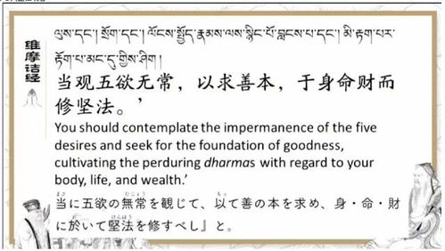 小布忧苦怎么组词