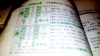 语迟的语字怎么组词