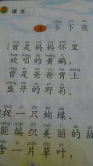 乡怎么写怎么组词 乡怎么写怎么组词