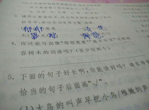 树的组词怎么写 树的组词怎么写