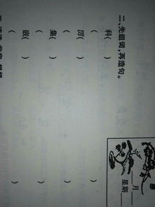 文鸳怎么组词怎么造句