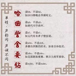 piao的朴怎么组词