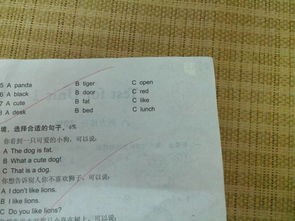 不度不怎么组词语 不度不怎么组词语