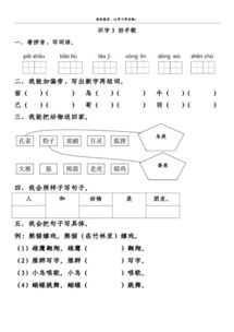 丛林的林琳怎么组词