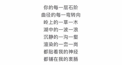 寻觅寻寻怎么组词 寻觅寻寻怎么组词