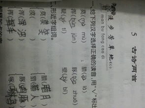 补不补怎么组词 补不补怎么组词