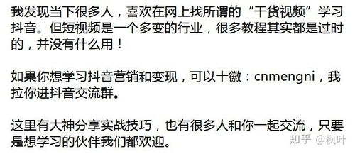 放抖音怎么组词