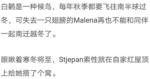 暖和的女儿怎么组词 暖和的女儿怎么组词