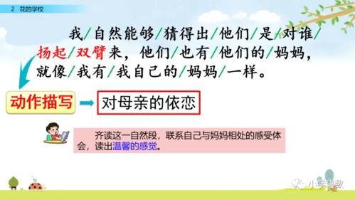 裳的组词怎么煮