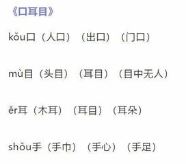 收字怎么组词