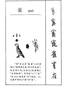 冷的雀怎么组词
