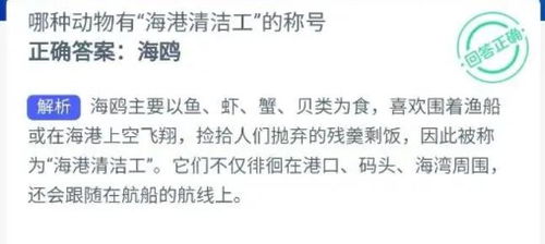 清洁工人洁怎么组词