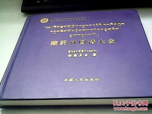 洛桑的洛怎么组词 洛桑的洛怎么组词