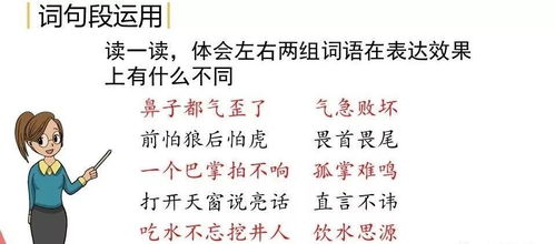 调调条条怎么组词