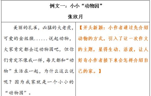 单怎么组词担怎么组词