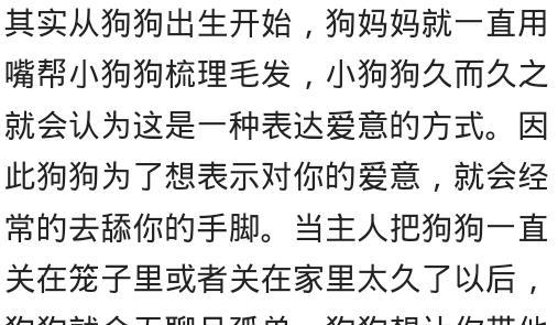 舔东西的添怎么组词