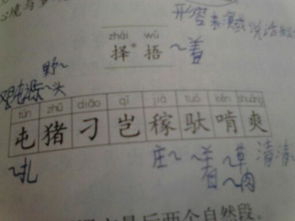 霸字组词语 霸字组词语