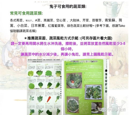 晒干晒干的晒怎么组词