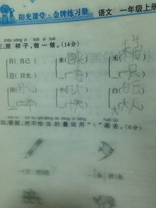 勃的致怎么组词