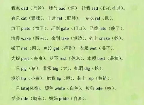 鸡肉英语怎么组词