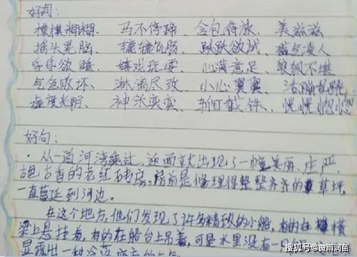 小作文的坐怎么组词呀