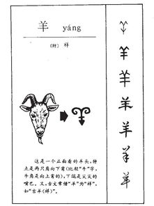 羊羊羊的羊怎么组词