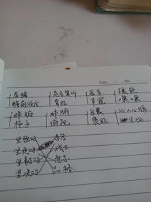 贿赂怎么写啊怎么组词