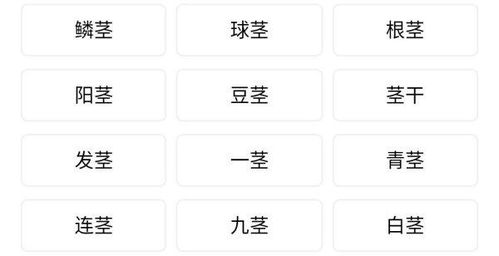 荣荣的荣荣怎么组词