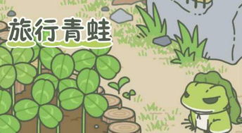 青蛙的蜻组词怎么写的简单介绍