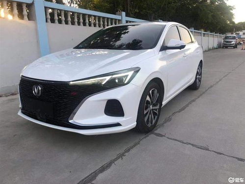 页和肃怎么组词和拼音