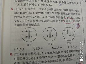 不abb怎么组词 不abb怎么组词