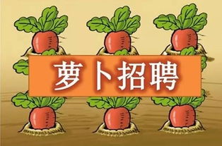 小度萝卜怎么组词 小度萝卜怎么组词