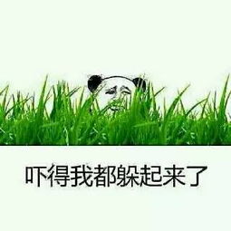 什么的蛇还能怎么组词