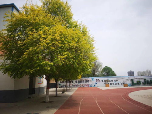 伙伴这太阳校金怎么组词