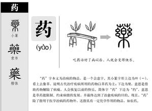 敷药的药怎么组词