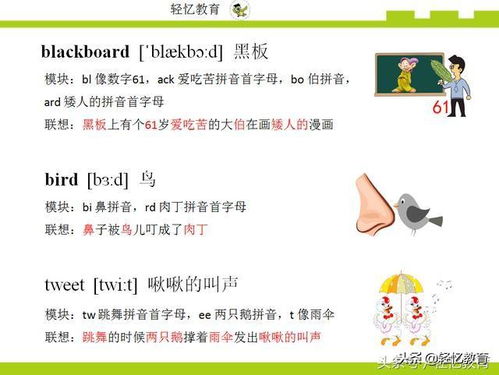 英语鸟怎么组词