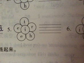 称字的字怎么组词