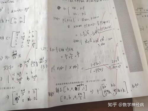 卷夹衫负责怎么组词