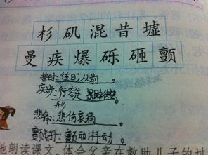 我美丽的美怎么组词